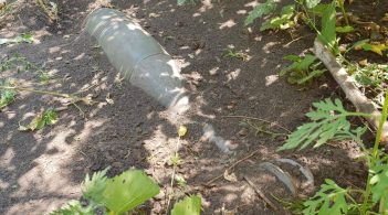 На КПВВ «Майорське» знайшли нерозірвану міну