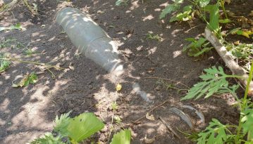 На КПВВ «Майорське» знайшли нерозірвану міну