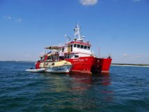 Одеський «Кусто» вразив європейців можливостями українського дайвінгу