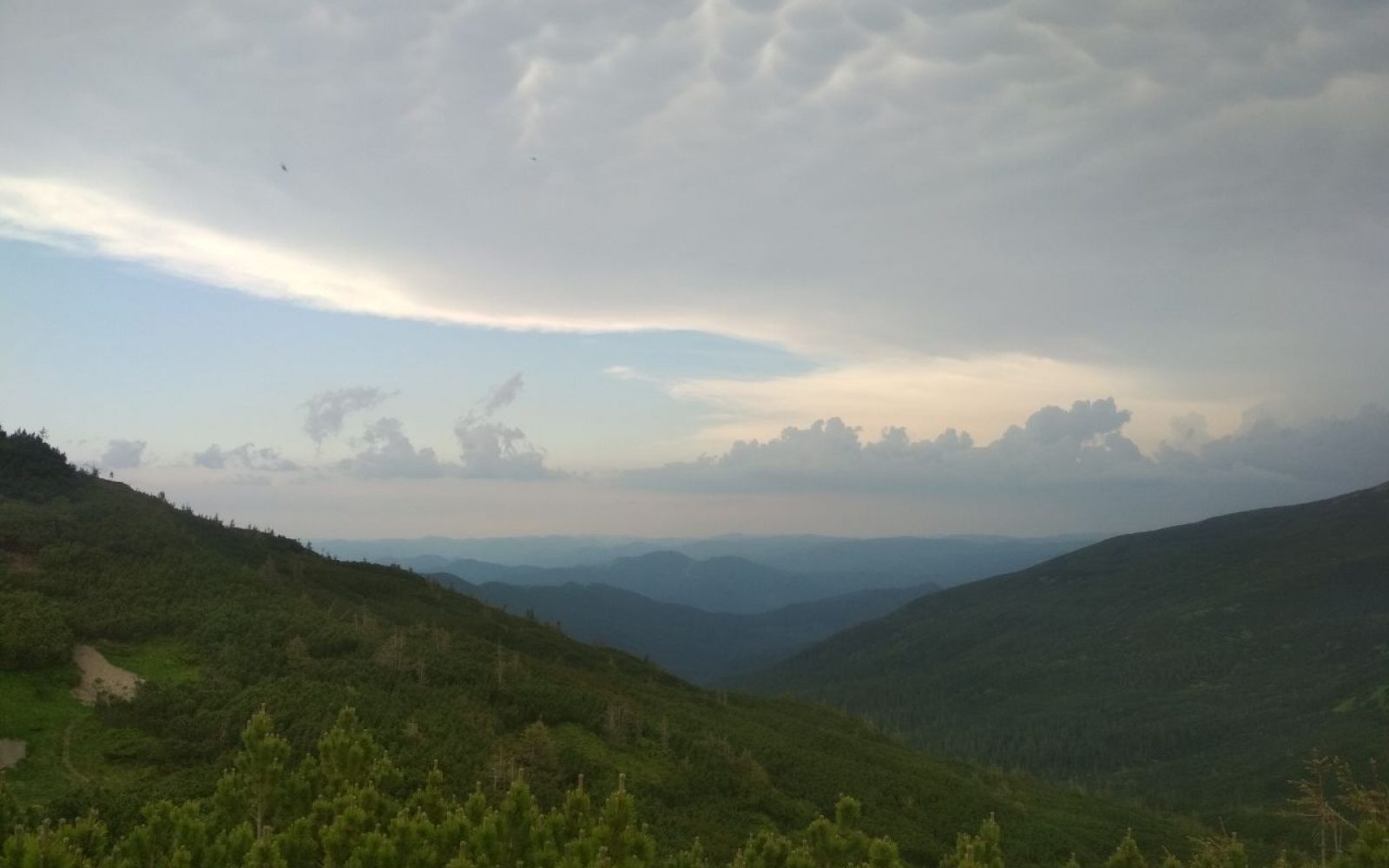photo5219757442722802762