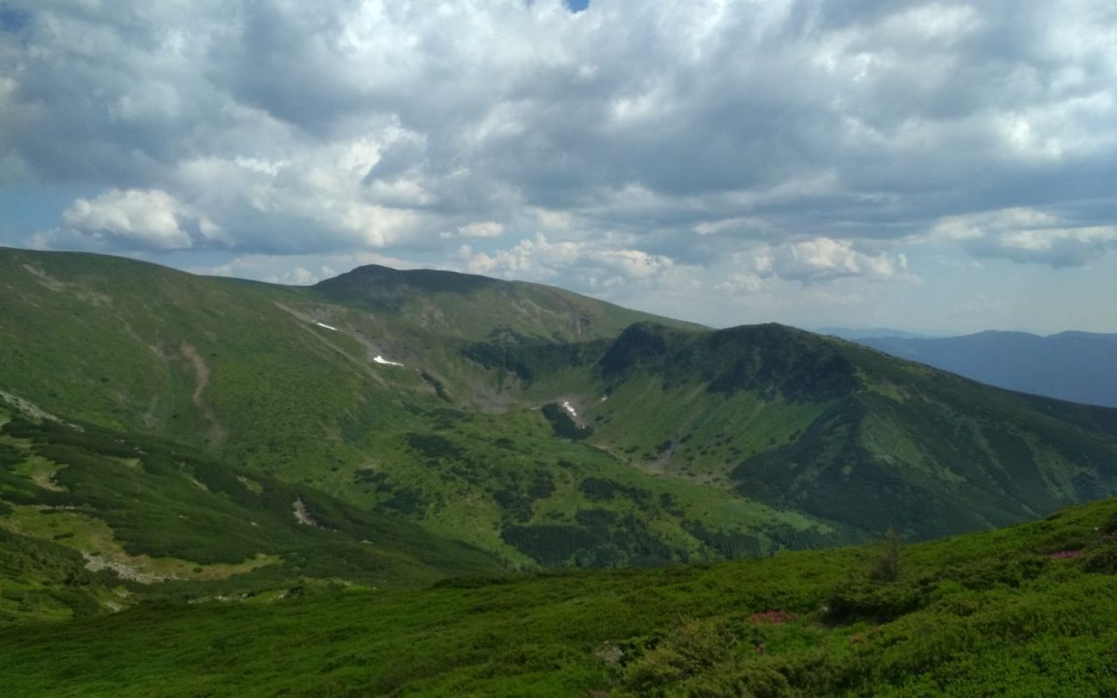 photo5219901452976237541