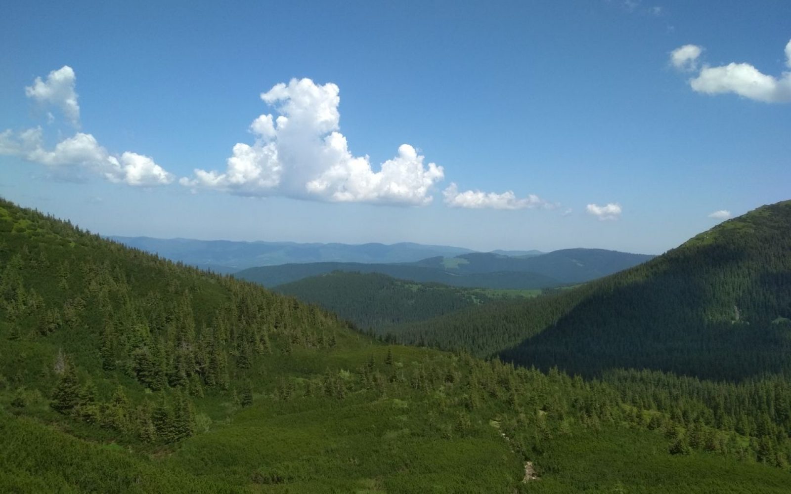 photo5219901452976237545