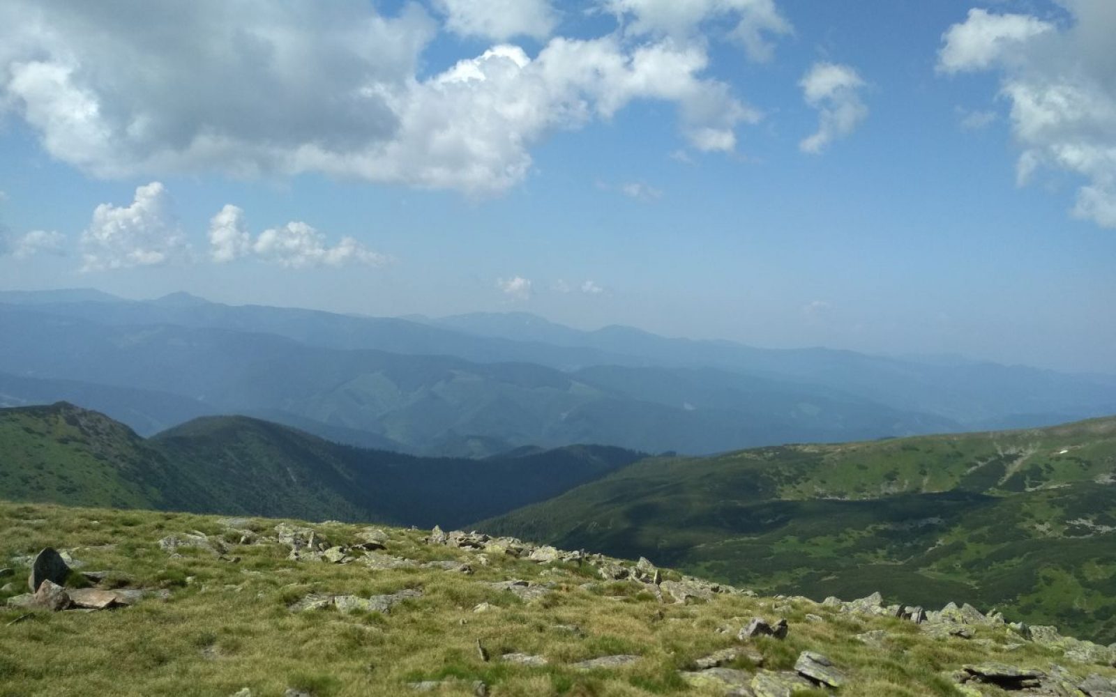photo5219901452976237582