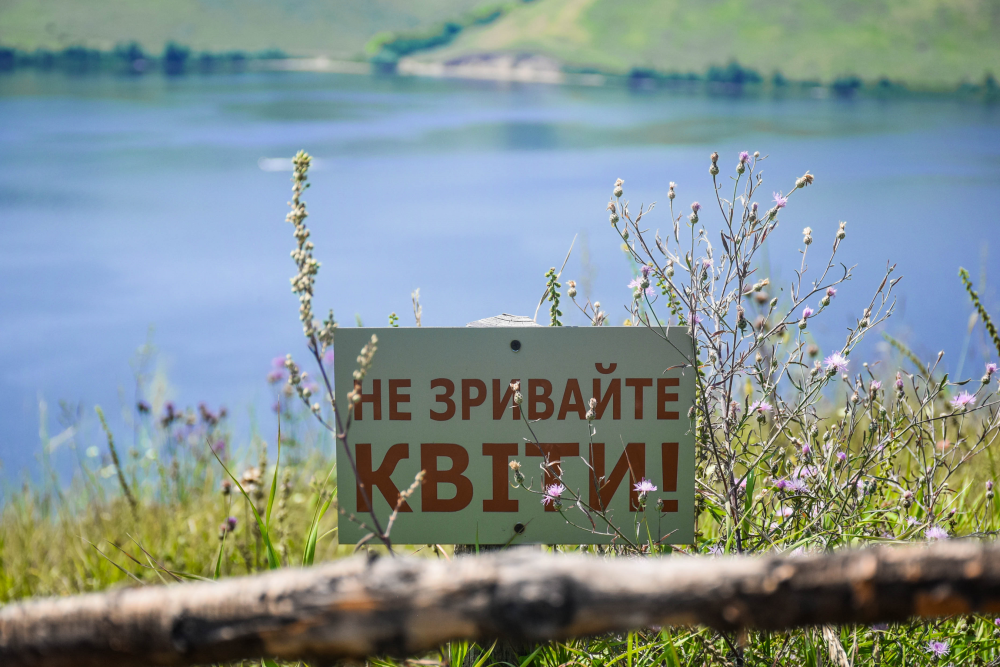 Тут просять квіти не рвати. Прогулянка над затопленим селом Бакота