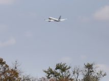 До України летять 35 українців, 11 з них Путін помилував