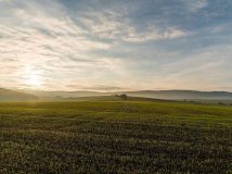 Зеленський – парламенту: До 1 грудня скасувати мораторій на продаж землі