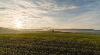 Зеленський – парламенту: До 1 грудня скасувати мораторій на продаж землі