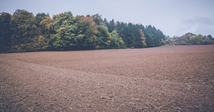 The land market is attractive and terrifying