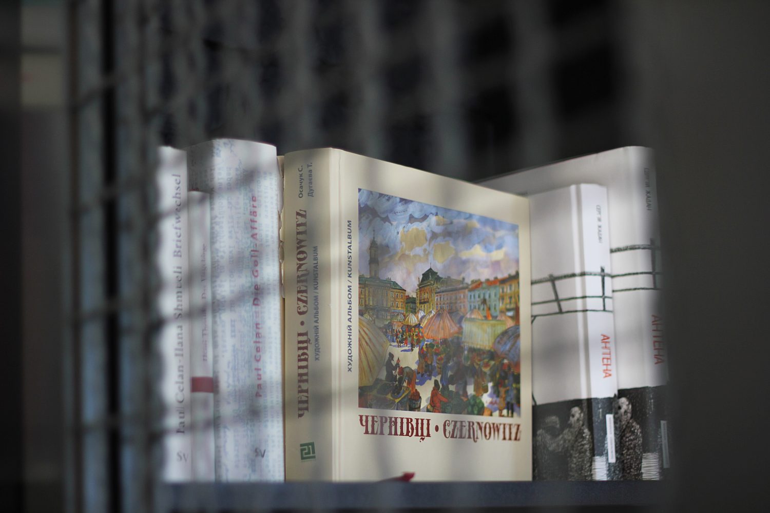 Кураторка Paul Celan Literaturzentrum Ірина Манжос: «Целанівський – це мій дім»