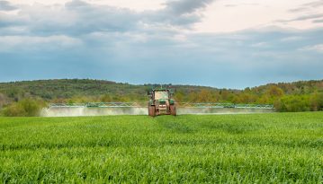Зеленський тимчасово проти продажу сільськогосподарської землі іноземцям