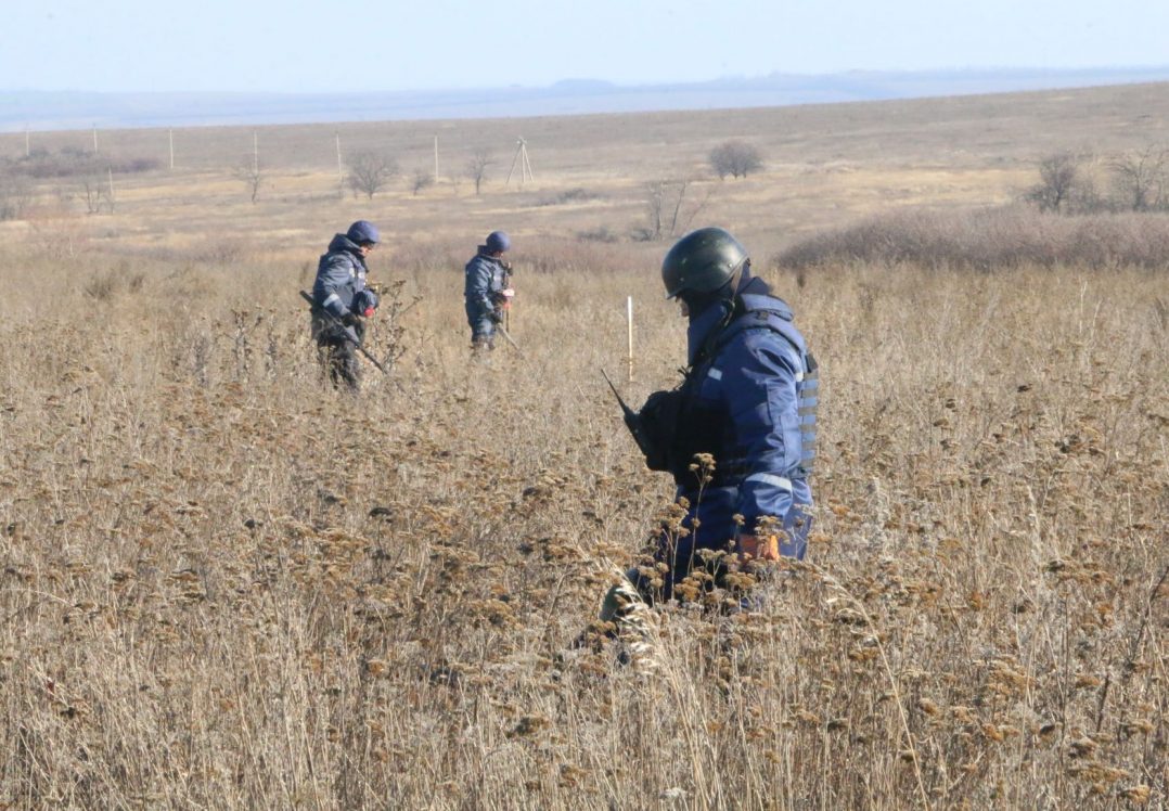 У районі Петрівського розмінували 12 га території