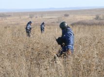 У районі Петрівського розмінували 12 га території