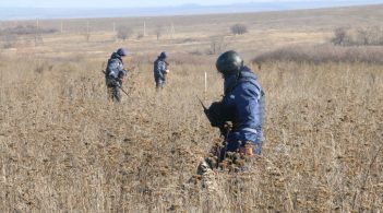 У районі Петрівського розмінували 12 га території