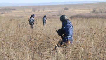 У районі Петрівського розмінували 12 га території