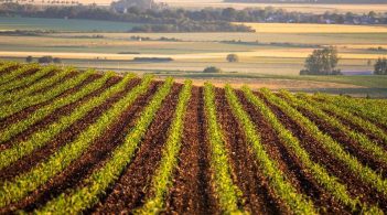 Мораторій на продаж землі є головною перепоною для залучення інвестицій – Світовий банк