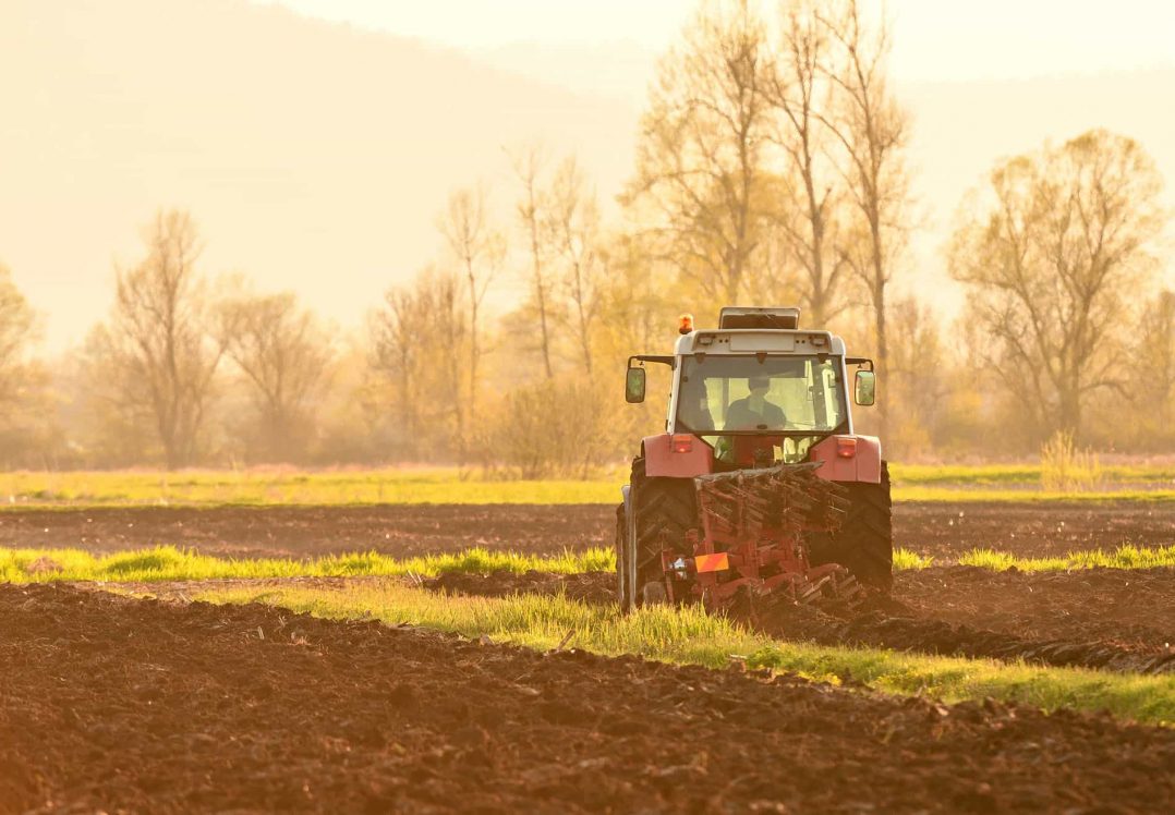 Зеленський: питання продажу землі іноземцям вирішиться на всеукраїнському референдумі