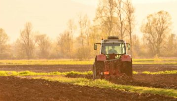 Зеленський: питання продажу землі іноземцям вирішиться на всеукраїнському референдумі