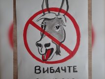 У соцмережах запустили флешмоб через висловлювання президента Казахстану про Крим