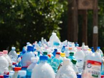 Вчені виявили живі організми, здатні перетравлювати пластик без шкоди для себе та інших істот