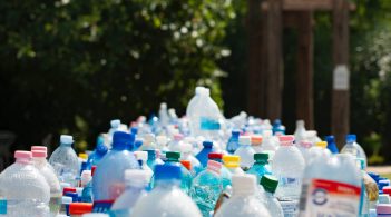 Вчені виявили живі організми, здатні перетравлювати пластик без шкоди для себе та інших істот