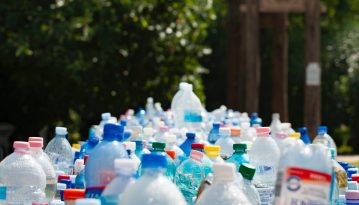 Вчені виявили живі організми, здатні перетравлювати пластик без шкоди для себе та інших істот