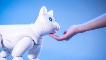 Вчені створили кішку-робота, в якої змінюватиметься характер