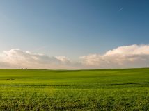 В українських селах планують створити 200 тис. нових робочих місць