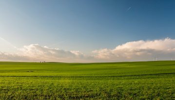 В українських селах планують створити 200 тис. нових робочих місць