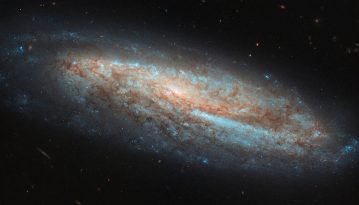 У NASA показали унікальне фото галактики в сузір'ї Риби