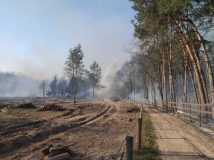 МВС почало антидиверсійну операцію в лісах Чорнобильської зони та Житомирської області