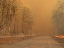 Рятувальники продовжують гасити пожежі в Чорнобильській зоні