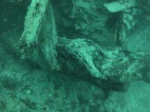 Gulf of Mexico