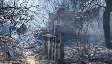 Пожежі в Чорнобильській зоні та на Житомирщині досі продовжують гасити