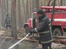 Пожежі в Чорнобильській зоні та на Житомирщині гасять близько 2,5 тис.людей