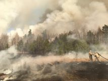 Пожежі в Чорнобильській зоні: жителям Київщини та Житомирщини радять не виходити зранку на вулицю