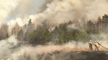 Пожежі в Чорнобильській зоні: жителям Київщини та Житомирщини радять не виходити зранку на вулицю