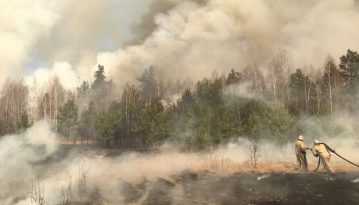 Пожежі в Чорнобильській зоні: жителям Київщини та Житомирщини радять не виходити зранку на вулицю