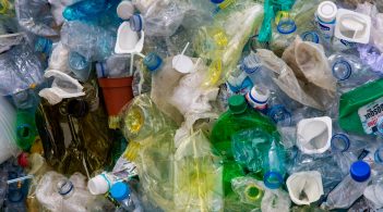Вчені знайшли бактерію, котра харчується токсичним пластиком