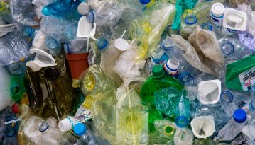 Вчені знайшли бактерію, котра харчується токсичним пластиком