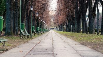 Нардеп Гончаренко просить суд скасувати заборону на відвідування парків та пересування без документів