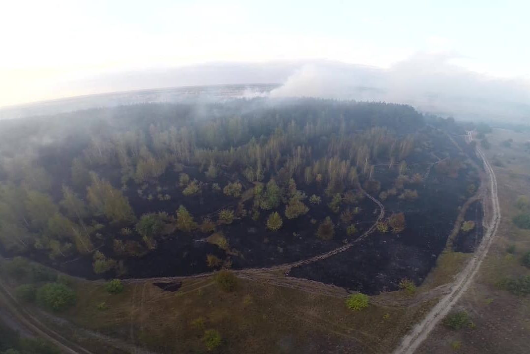 Пожежі в Чорнобильській зоні локалізовані, радіаційний фон у межах норми