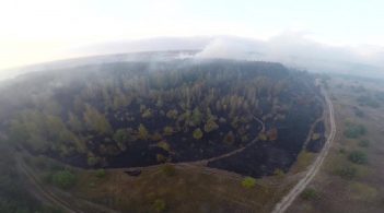 Пожежі в Чорнобильській зоні локалізовані, радіаційний фон у межах норми