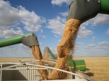 Україна експортувала 6,22 млн тонн зернових за 26 жовтня
