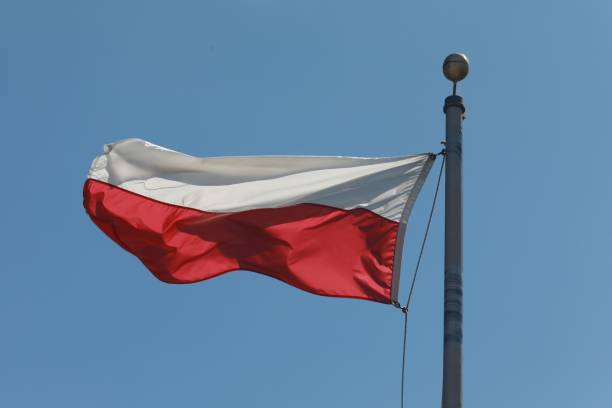 Київ і Варшава обговорюють розширення транзиту зерна через Польщу