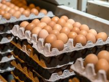 Яйцевий експорт України зростає на тлі змін на ринку