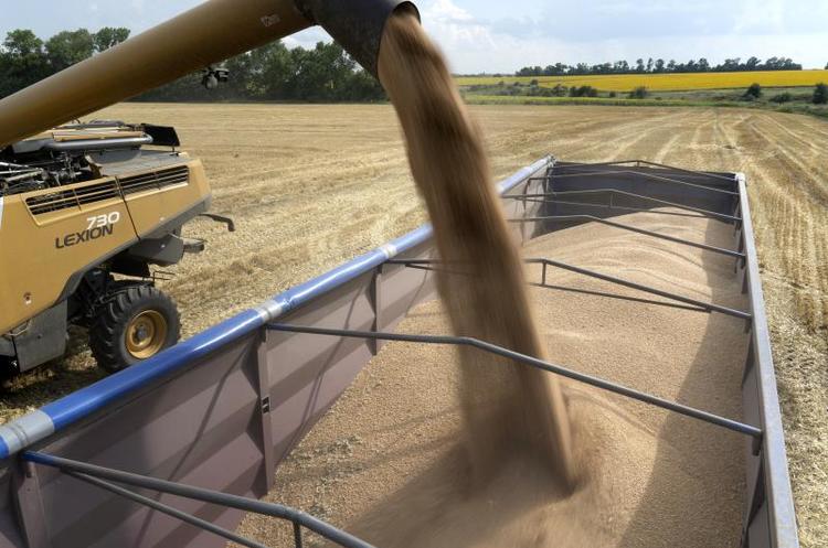 Україна, Британія та Латвія спільно перевірятимуть походження зерна
